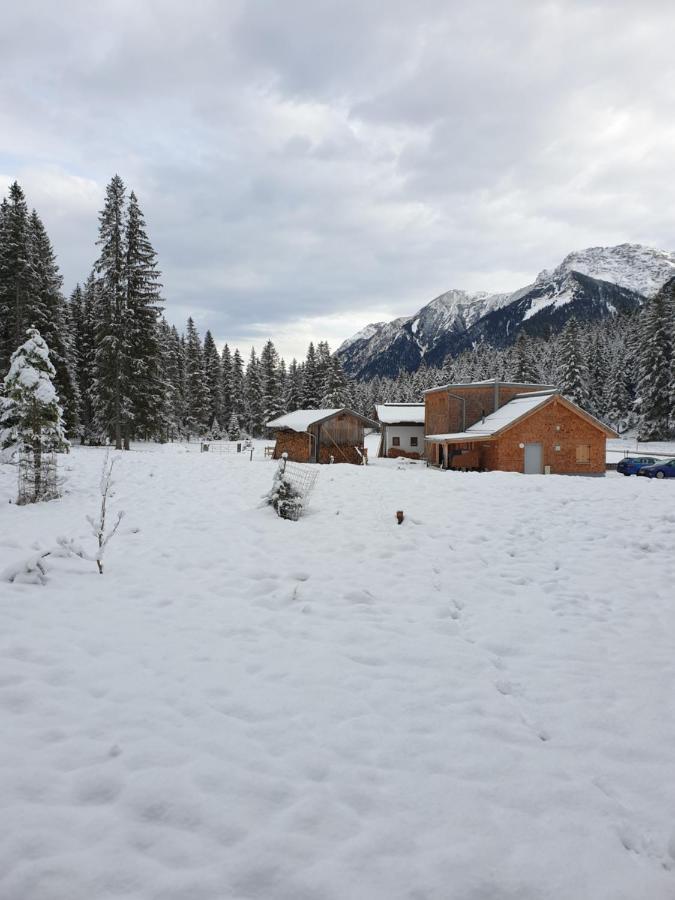 Ammerwald Alm プランゼー エクステリア 写真