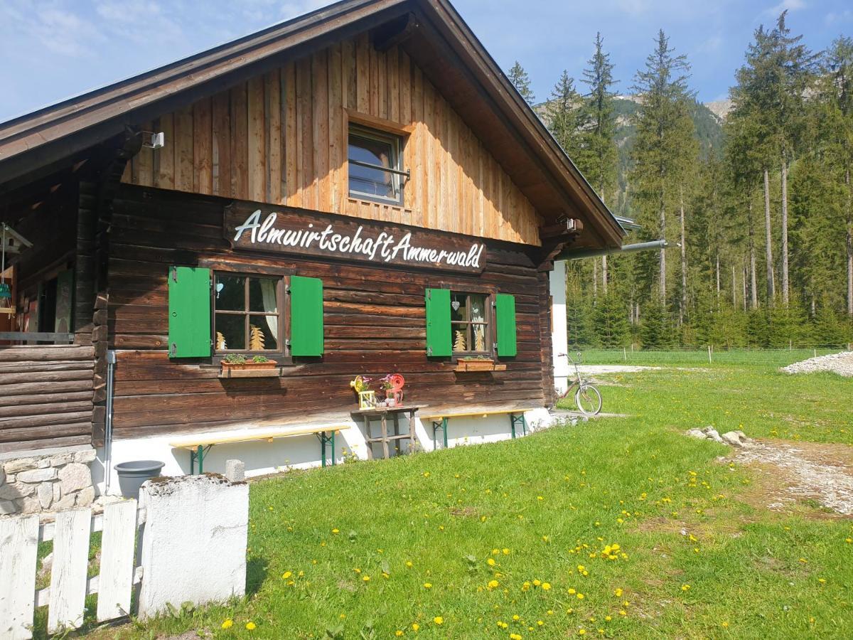 Ammerwald Alm プランゼー エクステリア 写真