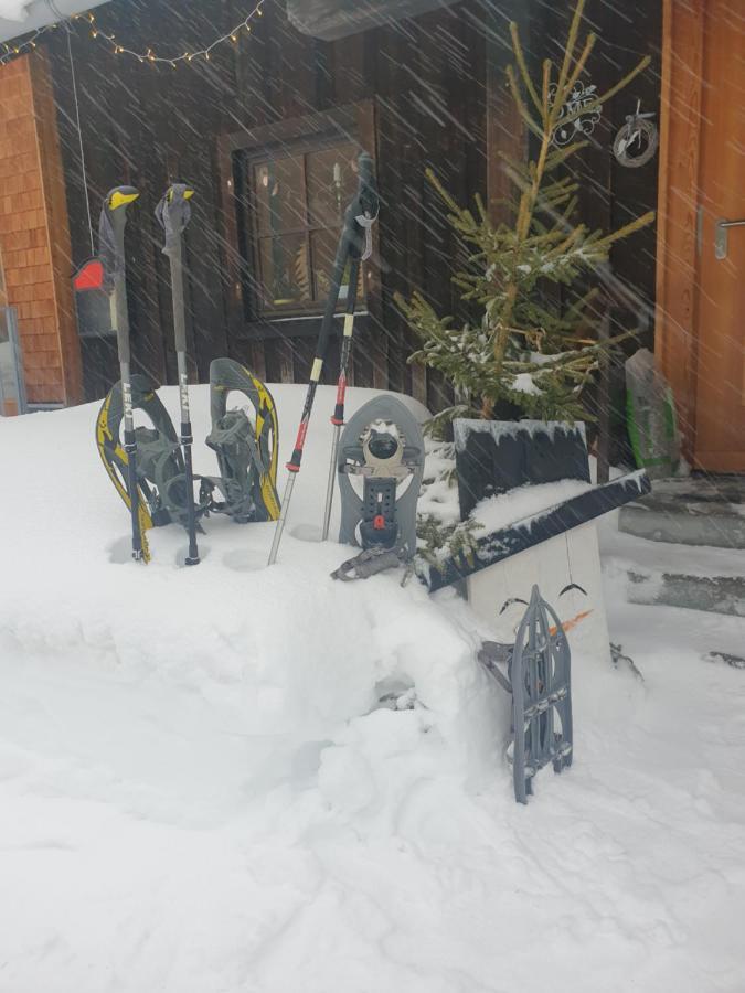 Ammerwald Alm プランゼー エクステリア 写真
